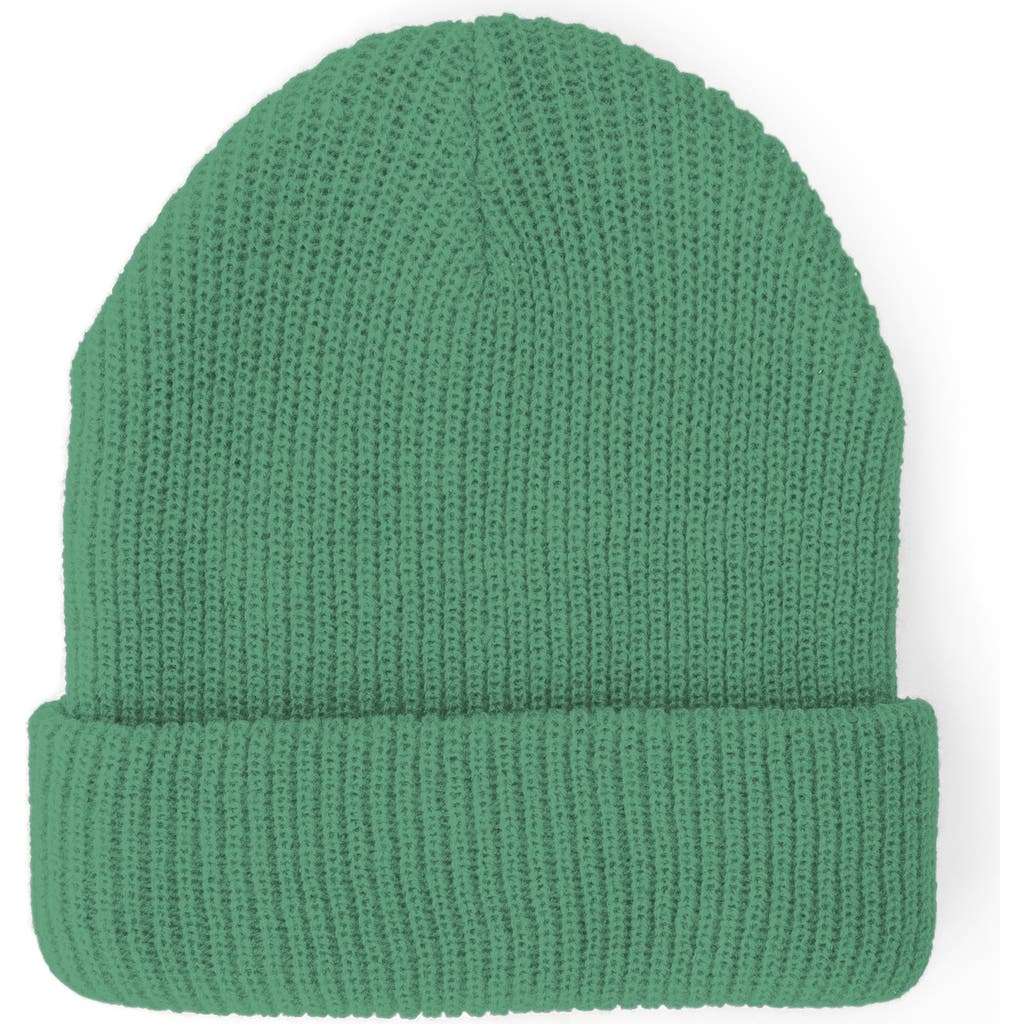 Sunshine Studios Billie Knit Beanie In Green