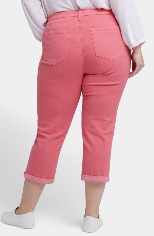Nydj Plus Size Margot Girlfriend Pull On Jeans In Pink