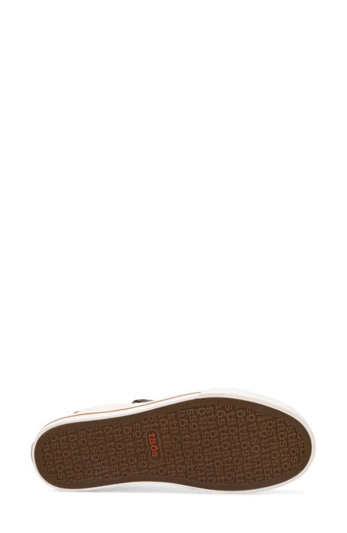 Taos Z-soul Platform Sneaker In Multi