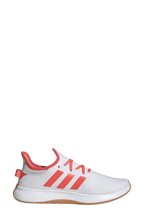 Adidas Originals Adidas Cloudfoam Pure Running Shoe In White/preloved Scarlet/grey