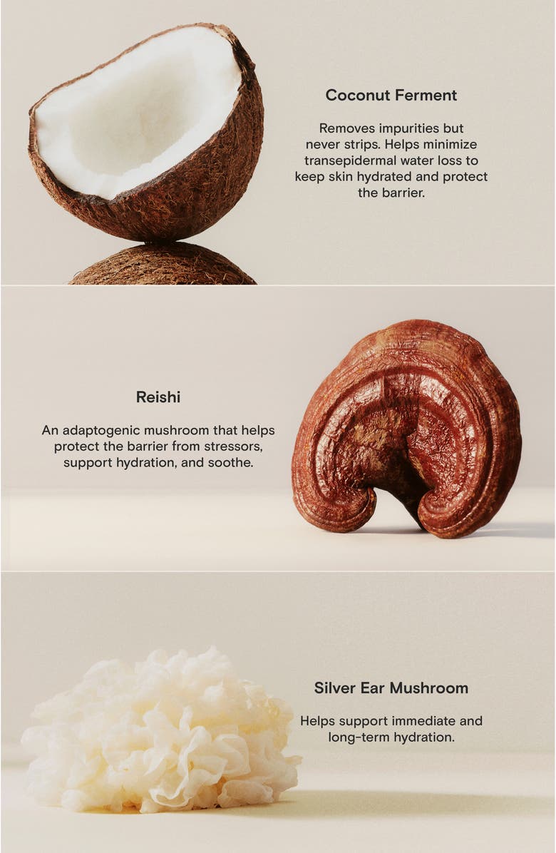 Moon Juice Milk Cleanse Gentle Wash Cleanser, Alternate, color,