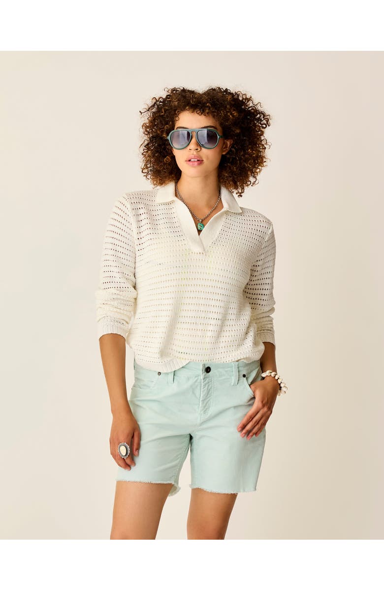 Carve Designs Morgan Polo Sweater, Alternate, color, Cloud