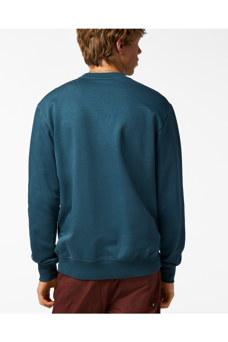 Trail To Sea Crew Sweatshirt - Men's, Alternate, color, Ocean