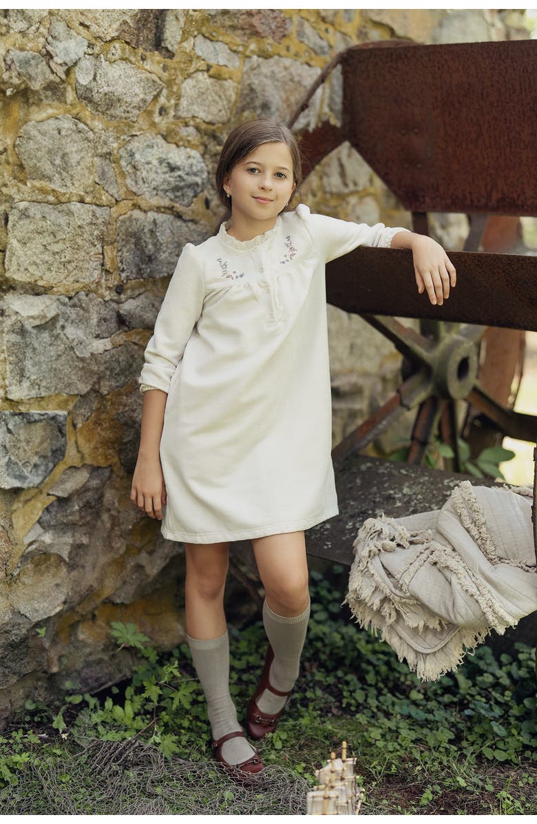 The Umbrella Academy Velvet Floral Embroidered Button Front Dress, Alternate, color, Taupe