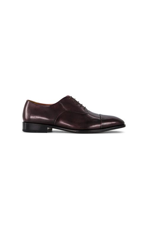 Anthony Veer Genoa Cap Toe Oxford In Brown