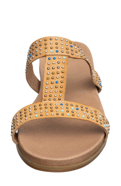 Antelope Reegan Slide Sandal In Taupe