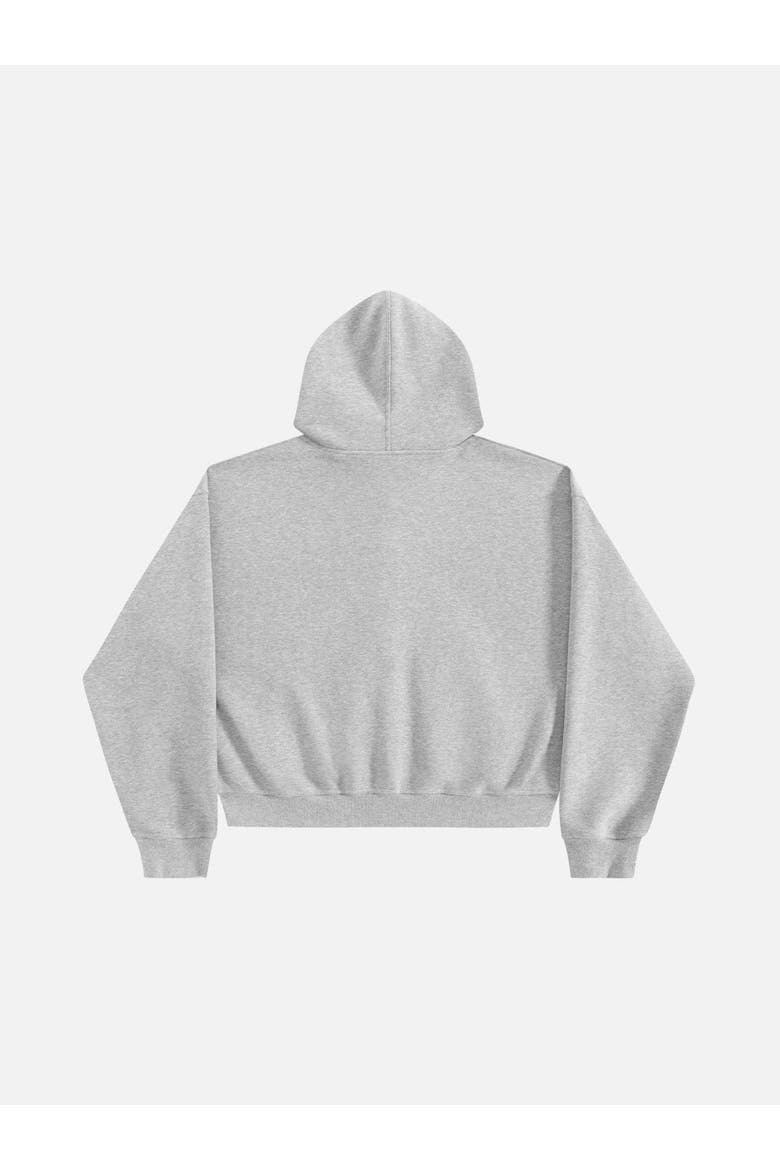 Boxy Metal Toggle-zip Up Hoodie, Alternate, color, Grey