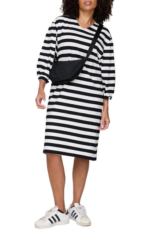 Turtledove London Organic Cotton Rosa Bold Stripe Print Midi Dress In Black