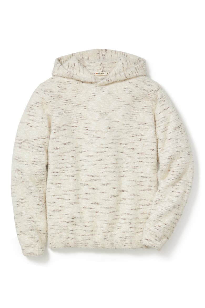 Wilder Hooded Sweater, Alternate, color, NATURAL GEO