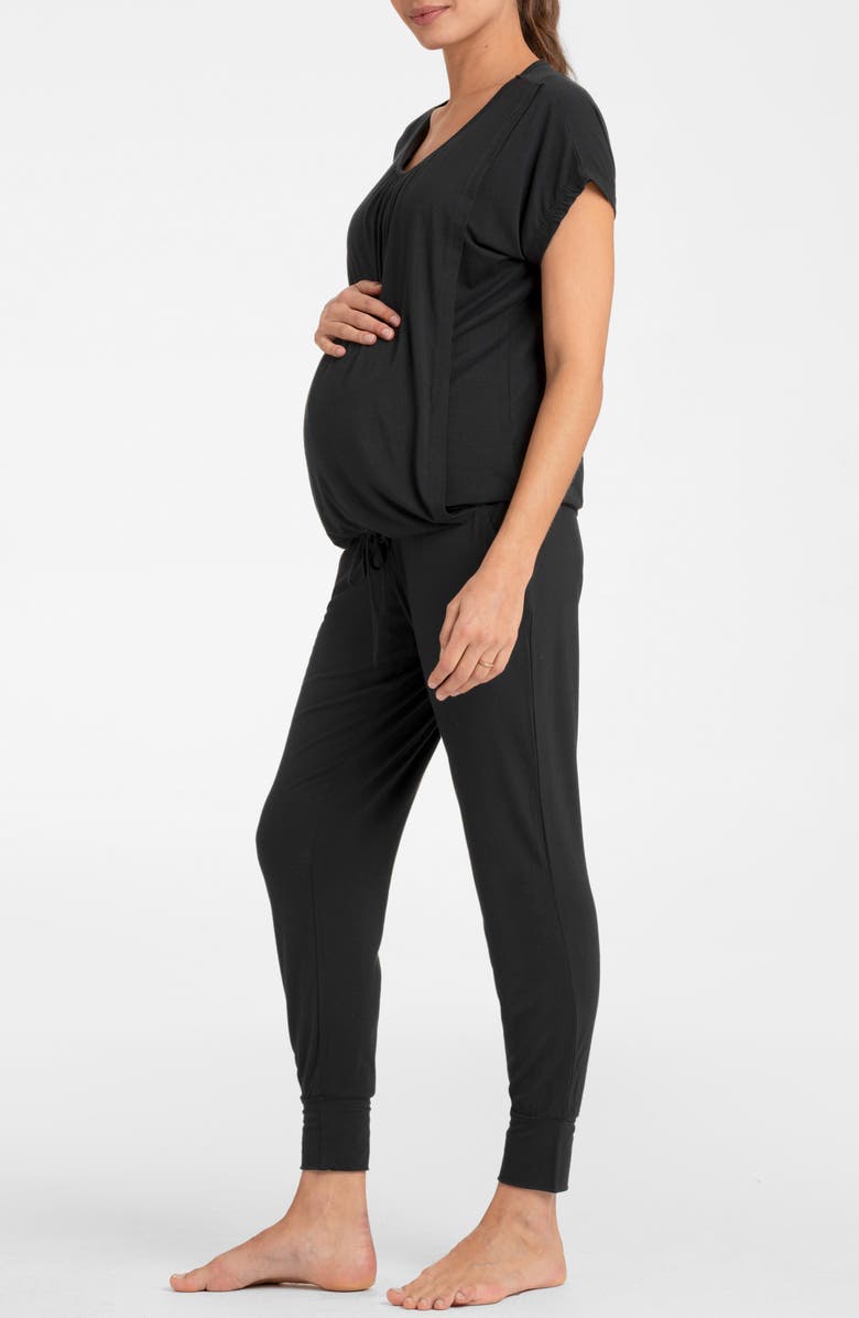 Seraphine Short Sleeve Maternity/Nursing Longewear Set, Alternate, color, 
