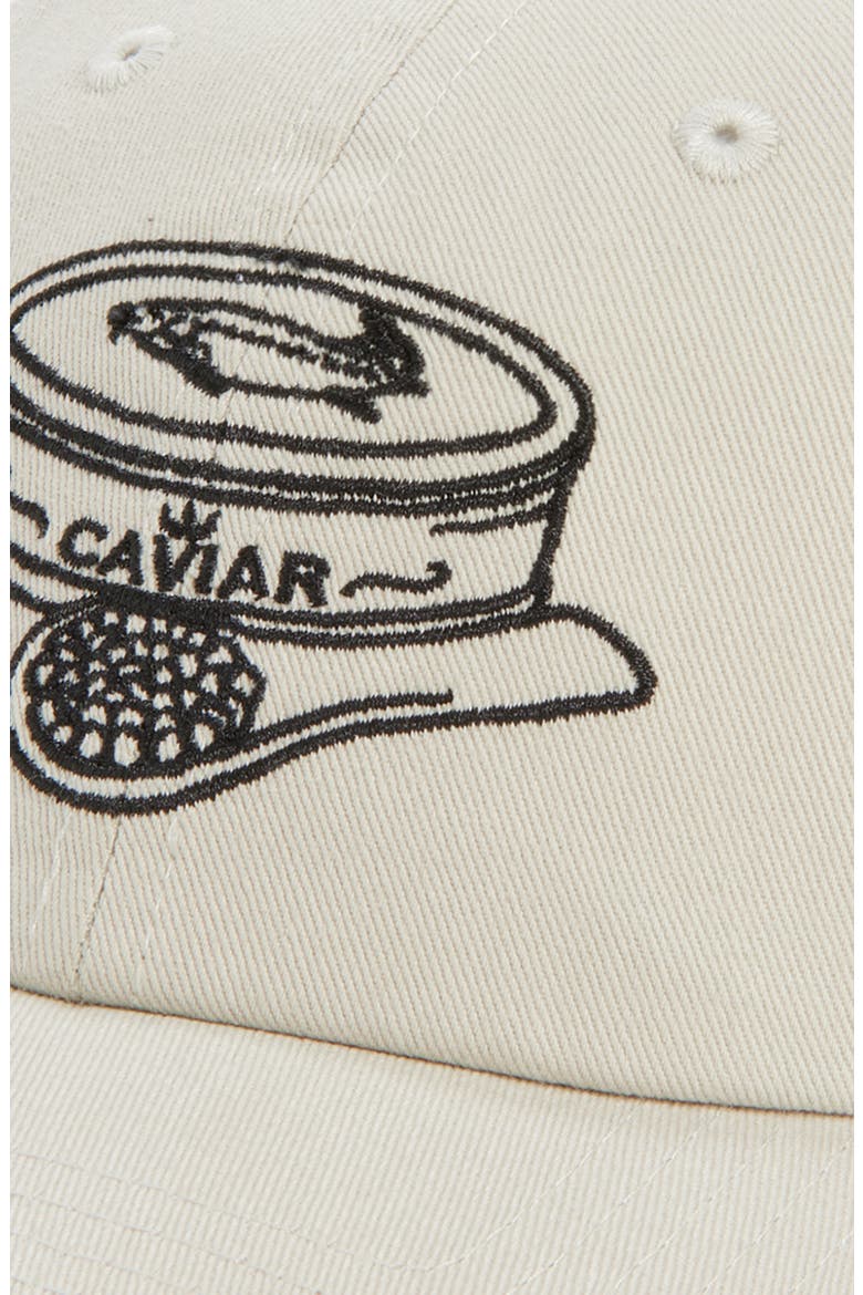 Caviar Embroidered Baseball Cap, Alternate, color, STONE
