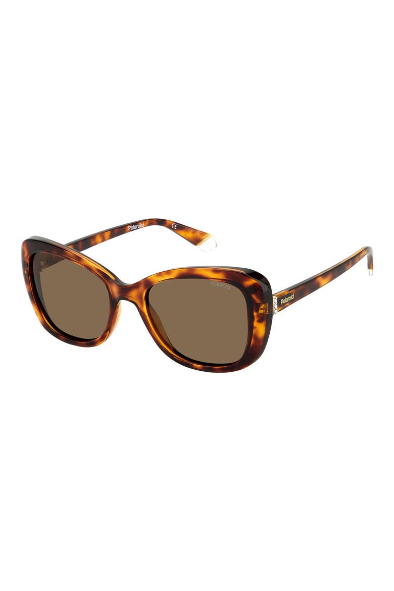 53mm Polarized Cat Eye Sunglasses, Alternate, color, HAVANA/ BRONZE POLAR
