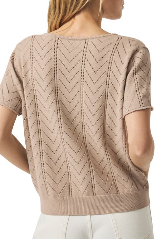Splendid Sabrina Pointelle Short Sleeve Sweater In Fawn