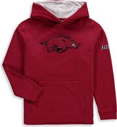 COLOSSEUM Youth Cardinal Arkansas Razorbacks Big Logo Pullover Hoodie
