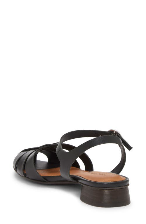 Shop Lucky Brand Zilma Ankle Strap Fishmerman Sandal In Black