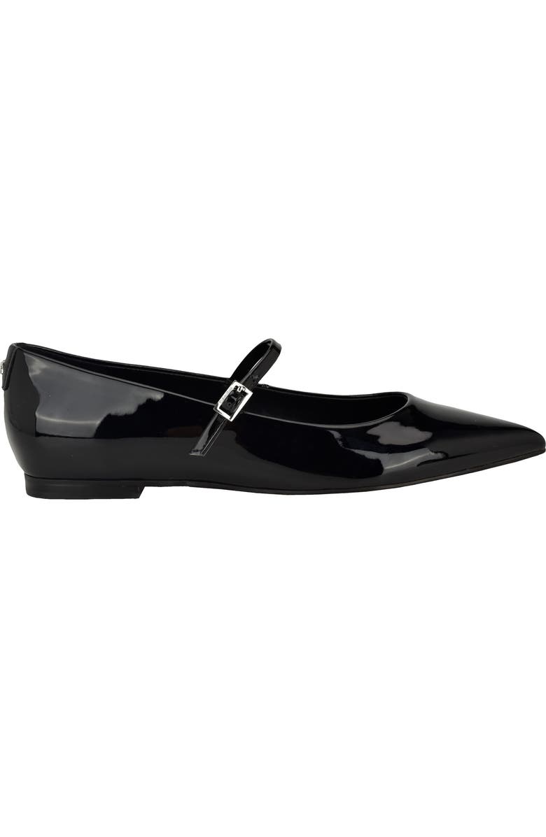 Calvin Klein Kamryn Pointed Toe Flat, Alternate, color,