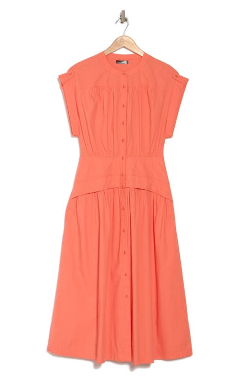 Area Stars Cuff Button Front Dress