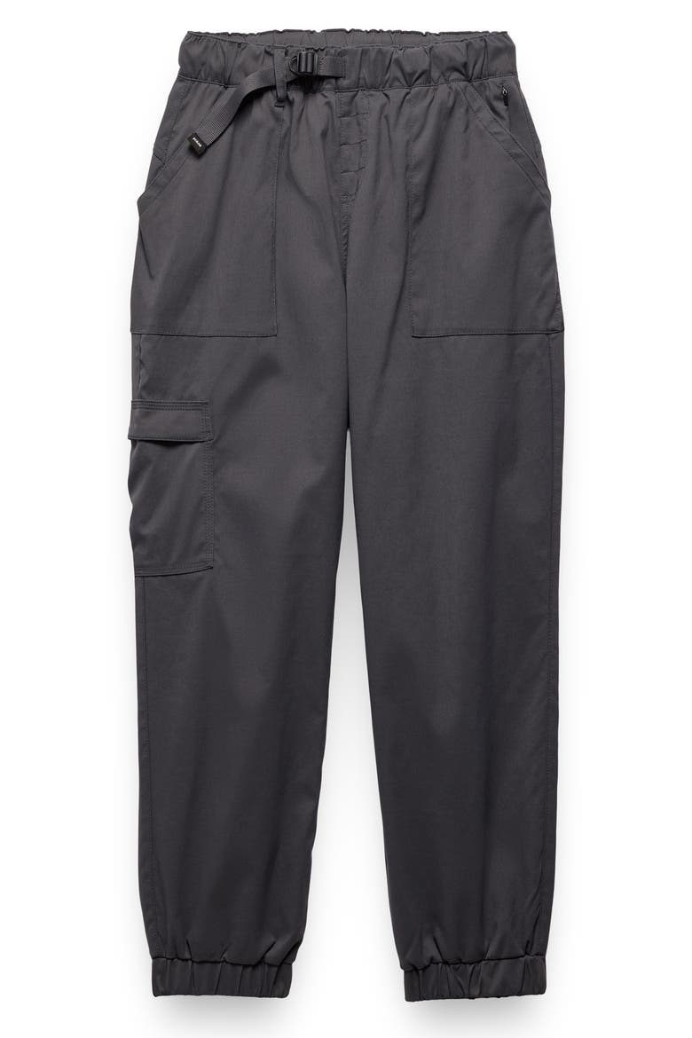Stretch Zion™ Elastic Waist Joggers, Alternate, color, SHADOW