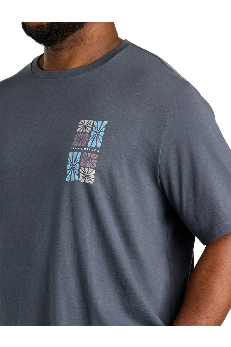 Big & Tall Cabana T-Shirt, Alternate, color, EBONY