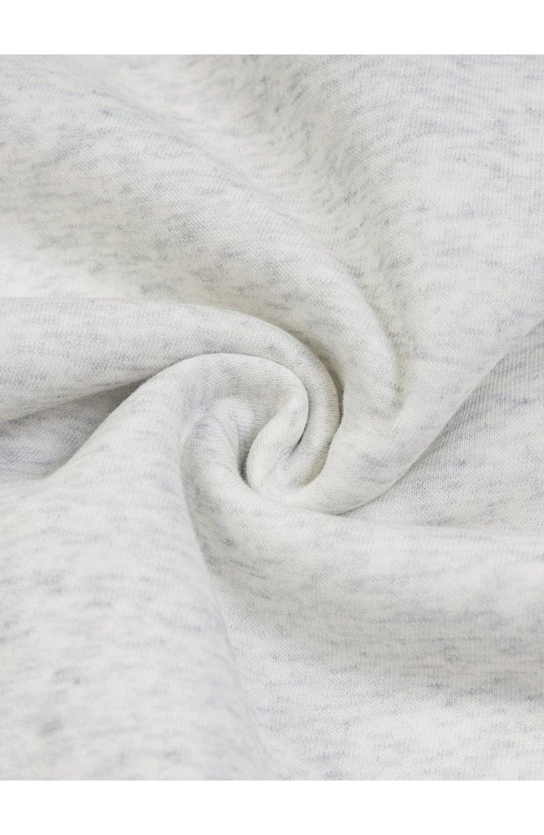 AELFRIC EDEN Color Blocking Stripe Hoodie, Alternate, color, Grey