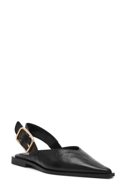 Steve Madden Shay Pointed Toe Slingback Flat In Black