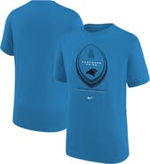 Nike Youth Nike Blue Carolina Panthers Icon Legend Dri-FIT T-Shirt
