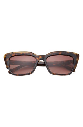 Ted Baker 55mm Gradient Cat Eye Sunglasses In Brown