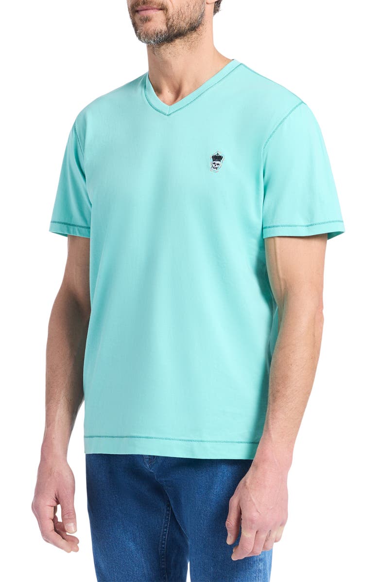 Robert Graham Damien V-Neck Knit T-Shirt, Alternate, color, 