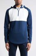 Swannies Logan Colorblock Half Zip Hoodie