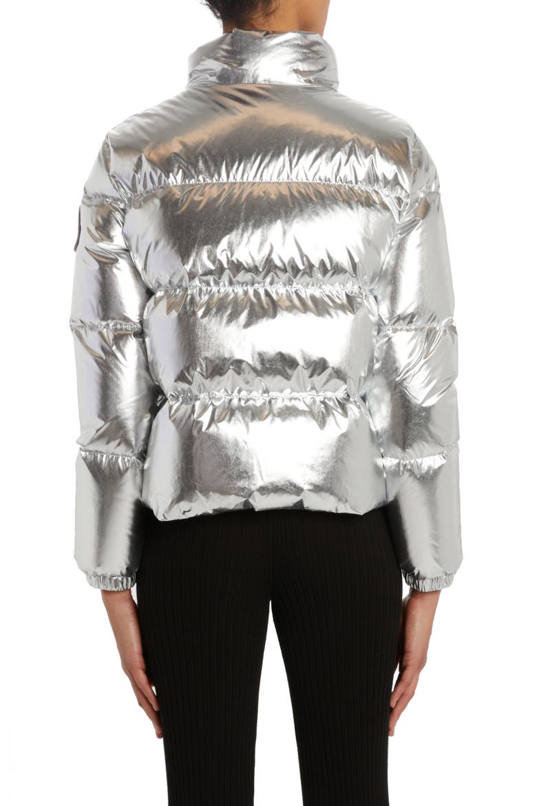 Meuse Laminated Nylon Down Jacket, Alternate, color, SILVER