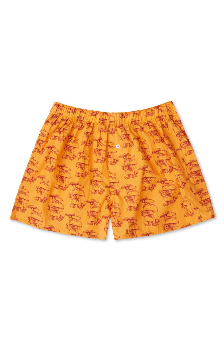 Druthers NYC Organic Cotton Gorey Sketch Shroom Boxer Short, Main, color, Butterscotch