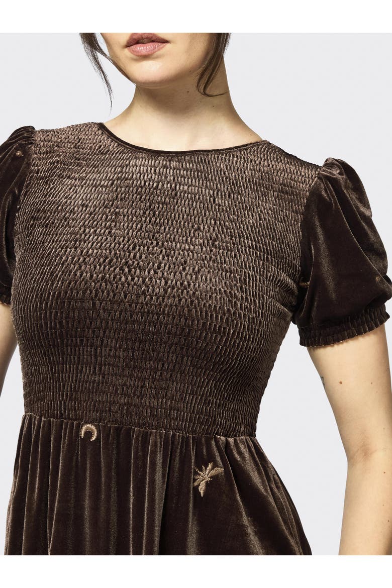 Seraphine Dragonfly Velour Midi Dress, Alternate, color, Brown