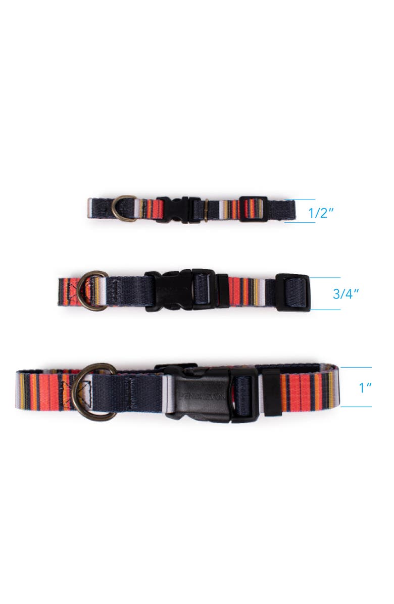 Pendleton National Park Adventure Collar, Alternate, color, Acadia