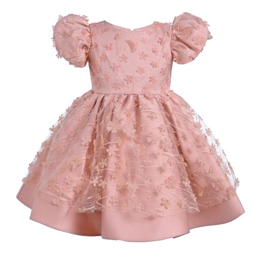 Tulleen Moneta Floral-appliqué Dress In Coral