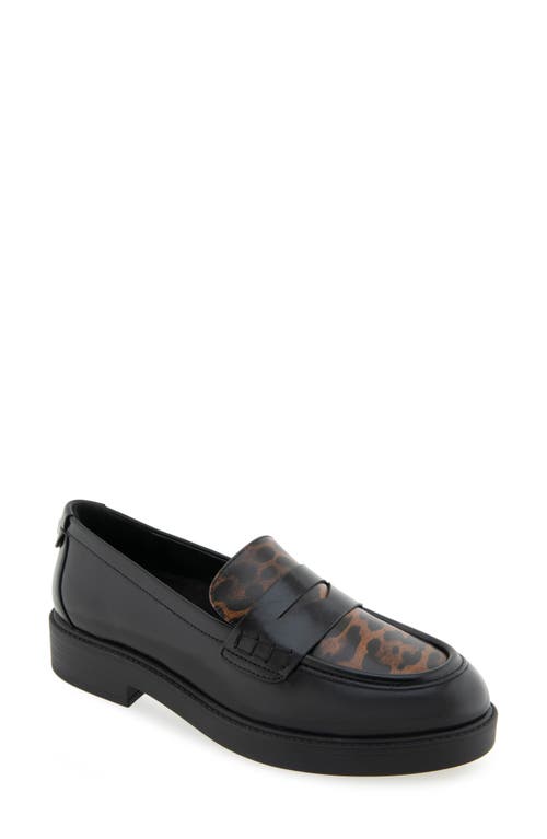 Aerosoles Poeta Penny Loafer In Multi