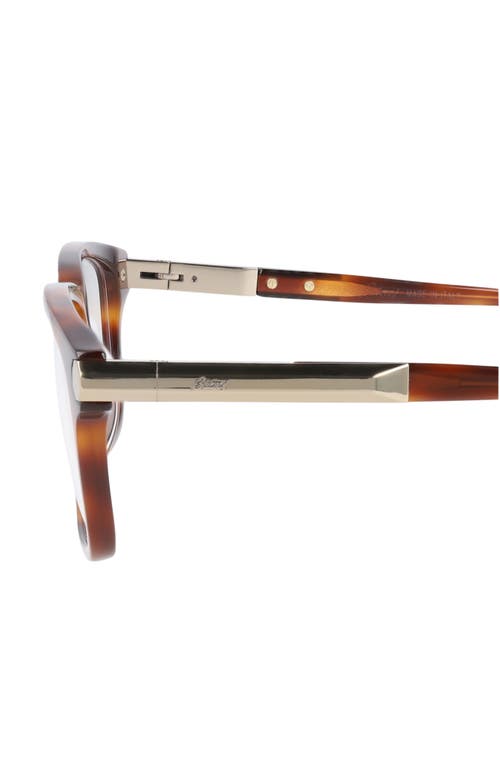 Brioni Novelty 55mm Rectangle Optical Glasses In Havana Havana Transparent