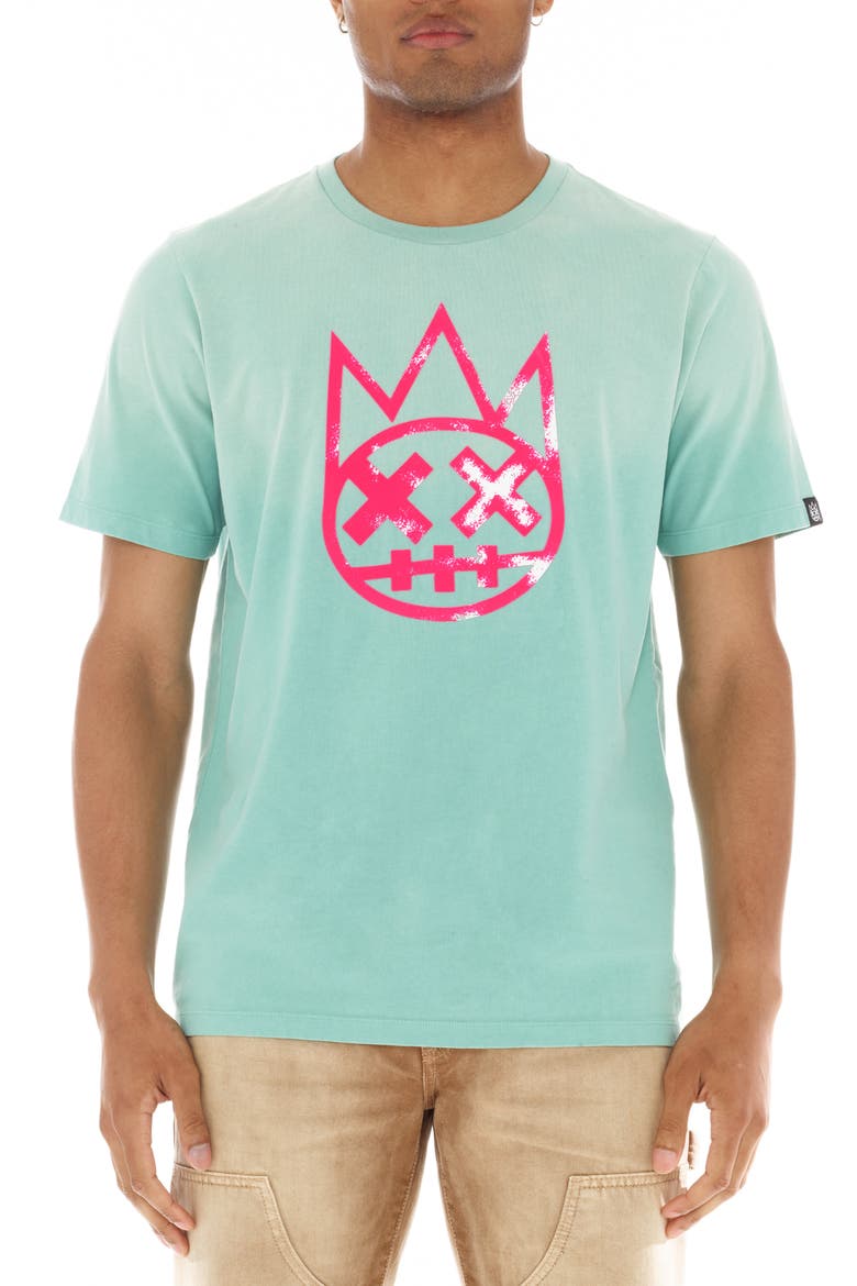 Shimuchan Flocked Logo Graphic T-Shirt, Main, color, VINTAGE MINT