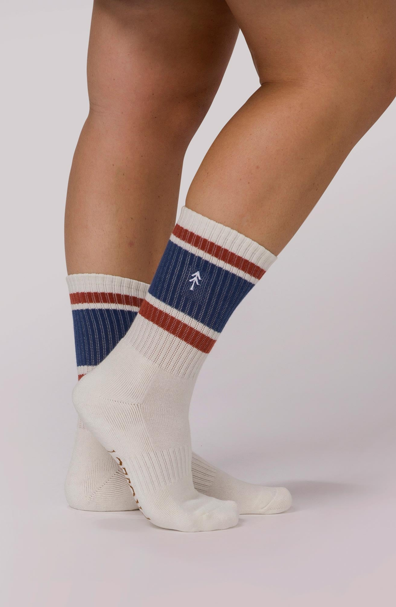 Parks Project Trail Crew Tube Sock 2 Pack, Alternate, color, Brown And Natural