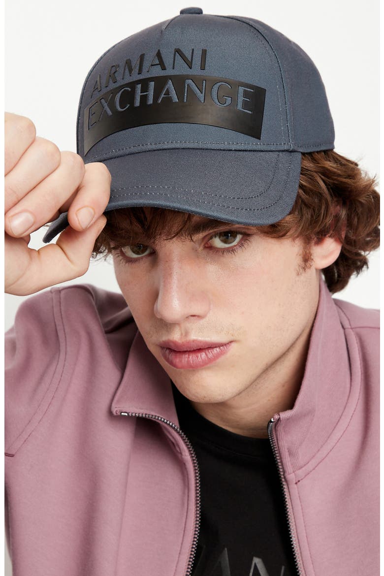 Logo Baseball Cap, Alternate, color, STORM