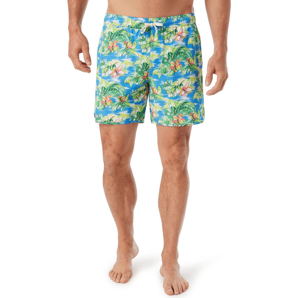 Fair Harbor Anchor Water Repellent Swim Trunks In Multi