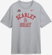 Nike Men's Nike Gray Ohio State Buckeyes Primetime Arch Mantra Legend Dri-FIT T-Shirt