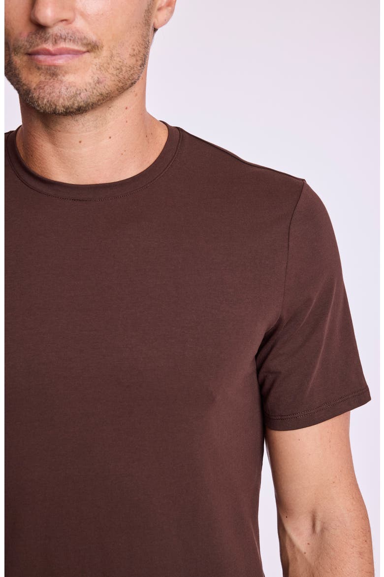 Lucas Crewneck T-Shirt, Alternate, color, DARK BROWN