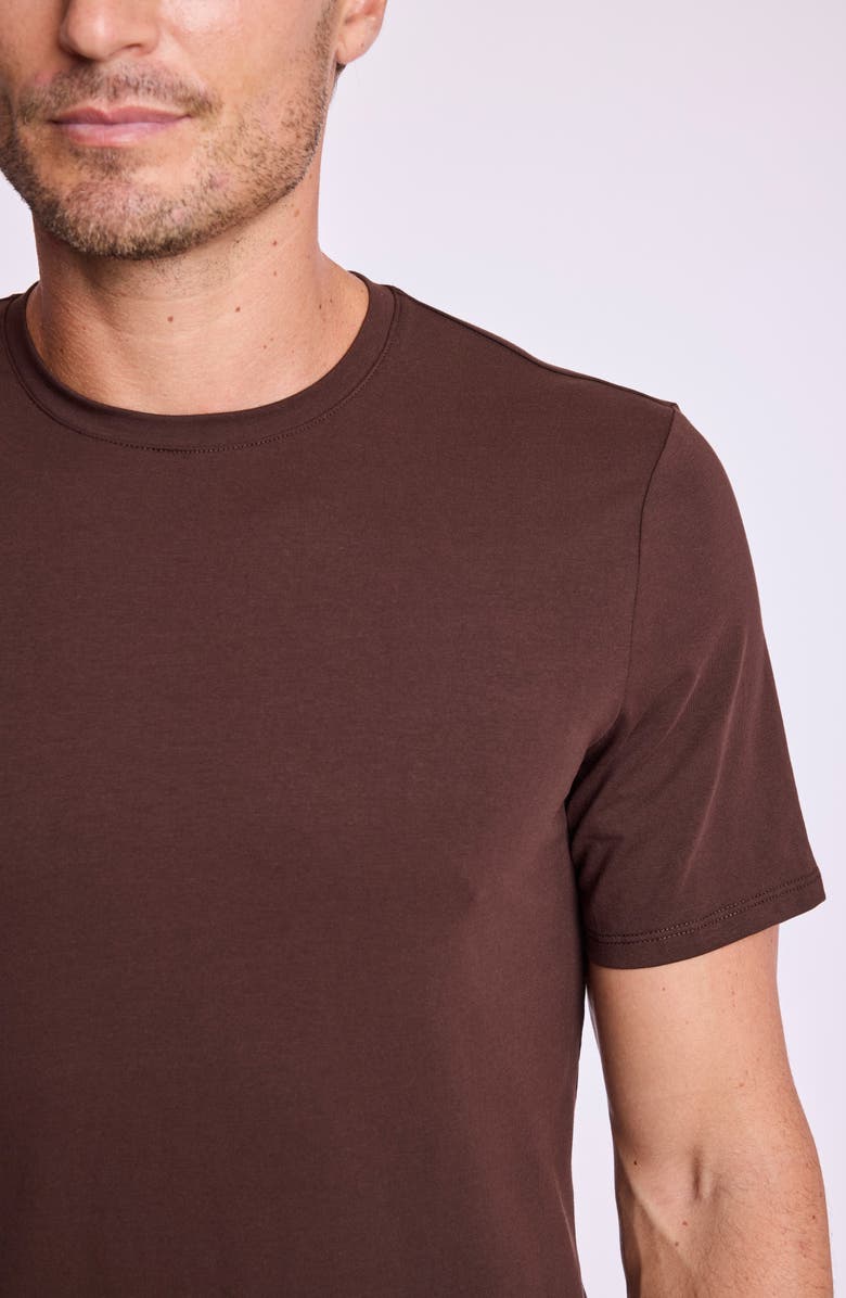 PAISLEY & GRAY Lucas Crewneck T-Shirt, Alternate, color, Dark Brown