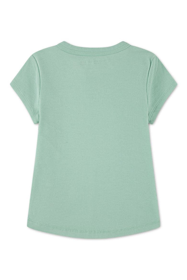 Kids' Essential Rib Baby Tee, Alternate, color, BIRDS EGG GREEN