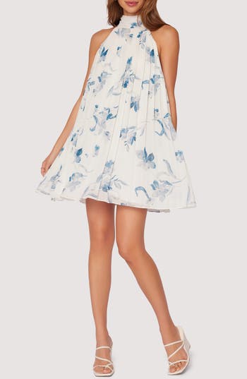 Lost + Wander Carolina Garden Pleated Trapese Minidress In Multi