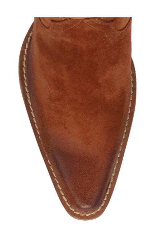 Dingo Primadonna Pointed Toe Over The Knee Western Boot In Brown