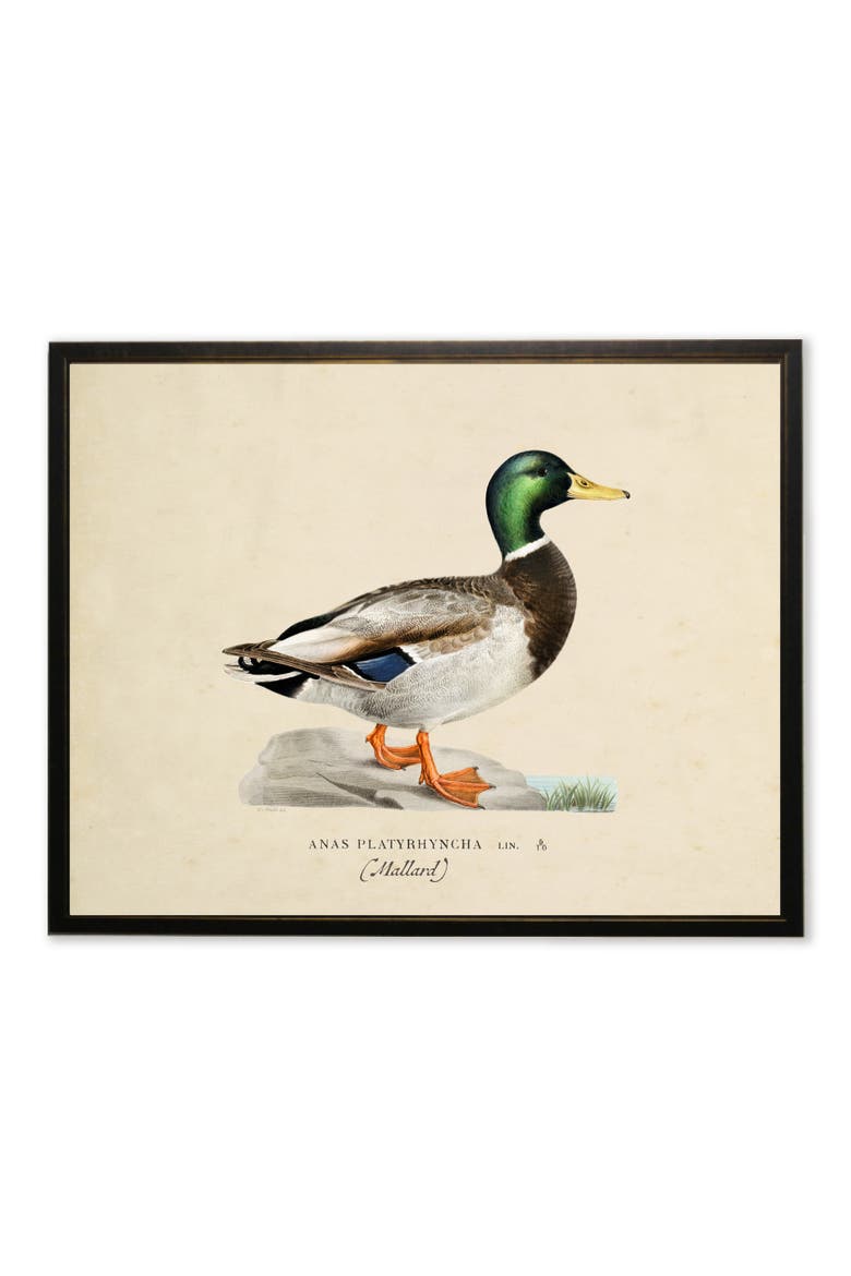 Mallard Print in Copper and Black Frame, Main, color, Multi