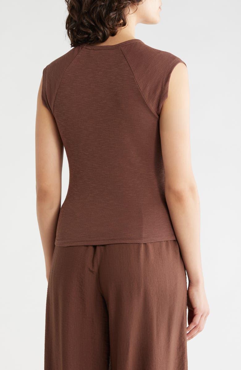 Sanctuary Raglan Sleeve V-Neck Top, Alternate, color, Hickory Brown