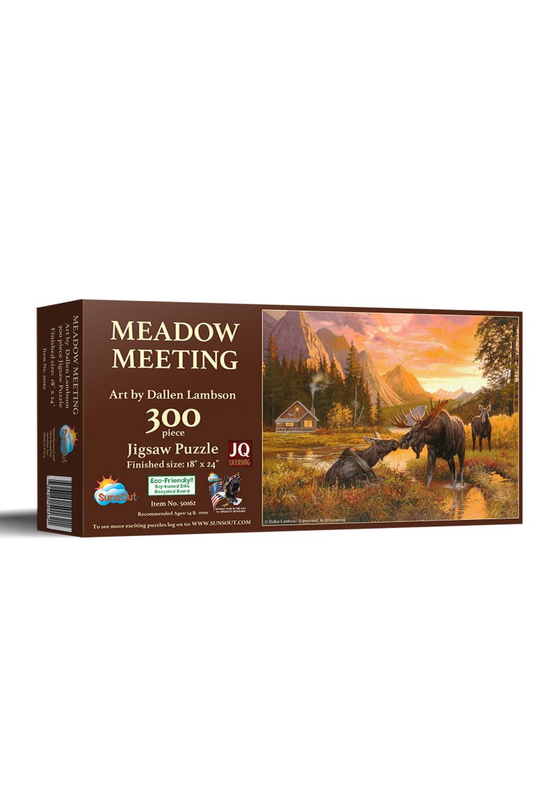Meadow Meeting 300, Main, color, Multicolor