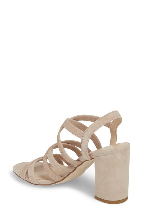 Shop Pelle Moda Grace Sandal In Mushroom Nubuck Leather